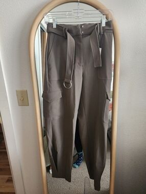 Express Work Pants